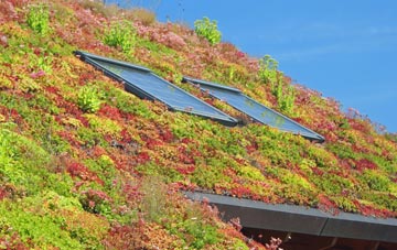 Battramsley living roof systems